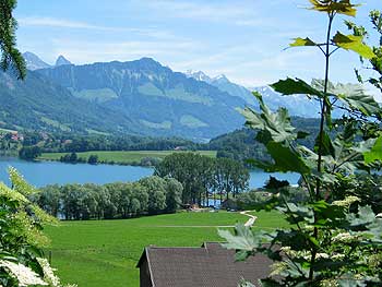 Lac de la Gruyere